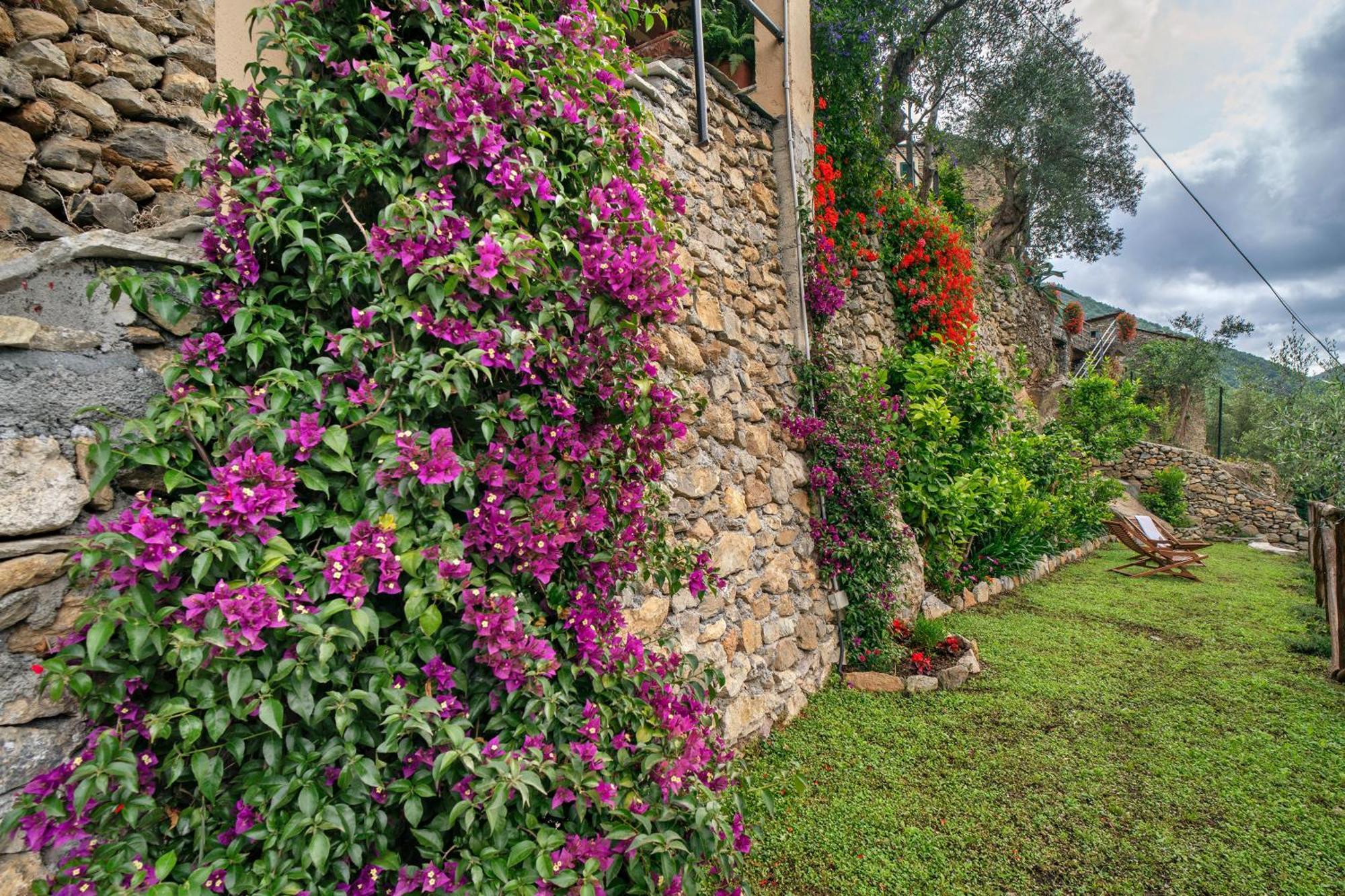 U' Spigu Nonna Annetta Farm stay Nasino